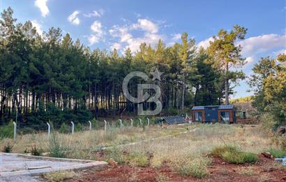 CB MARİNA'DAN DOĞA İLE İÇ İÇE 1.214M2 TARLA VE 2+1 TİNY HOUSE