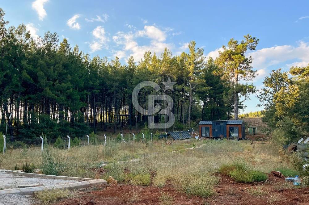 CB MARİNA'DAN DOĞA İLE İÇ İÇE 1.214M2 TARLA VE 2+1 TİNY HOUSE