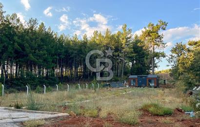 CB MARİNA'DAN DOĞA İLE İÇ İÇE 1.214M2 TARLA VE 2+1 TİNY HOUSE