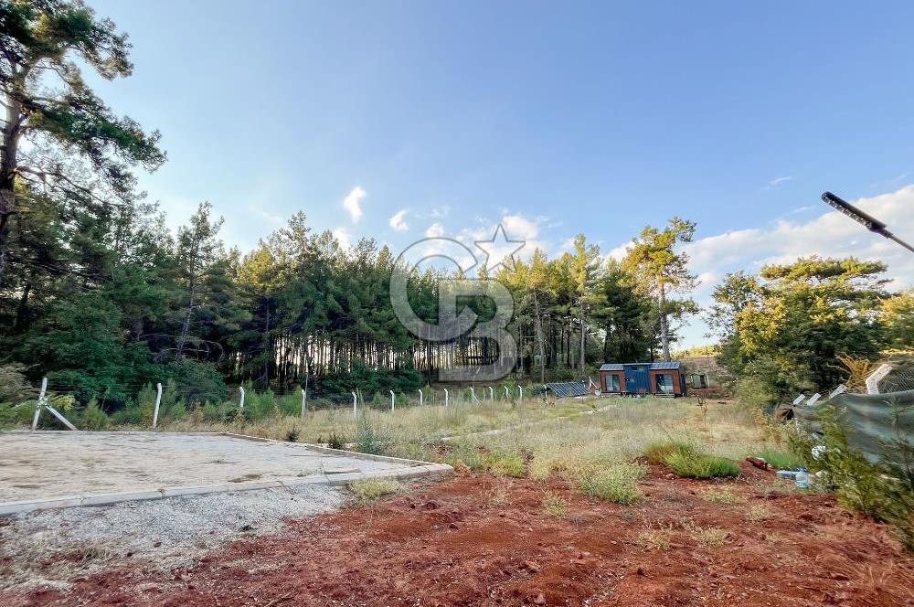 CB MARİNA'DAN DOĞA İLE İÇ İÇE 1.214M2 TARLA VE 2+1 TİNY HOUSE