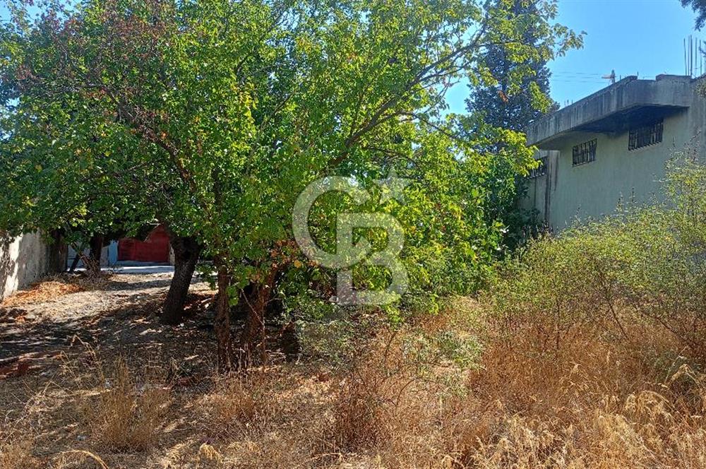 İzmir menderrs çileme köyünde satılık imarlı arsa