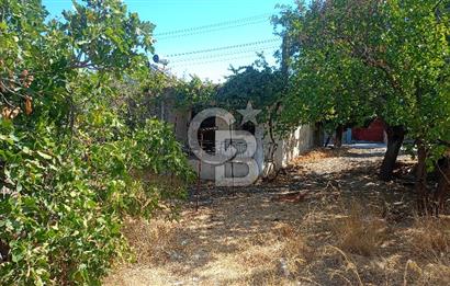 İzmir menderrs çileme köyünde satılık imarlı arsa