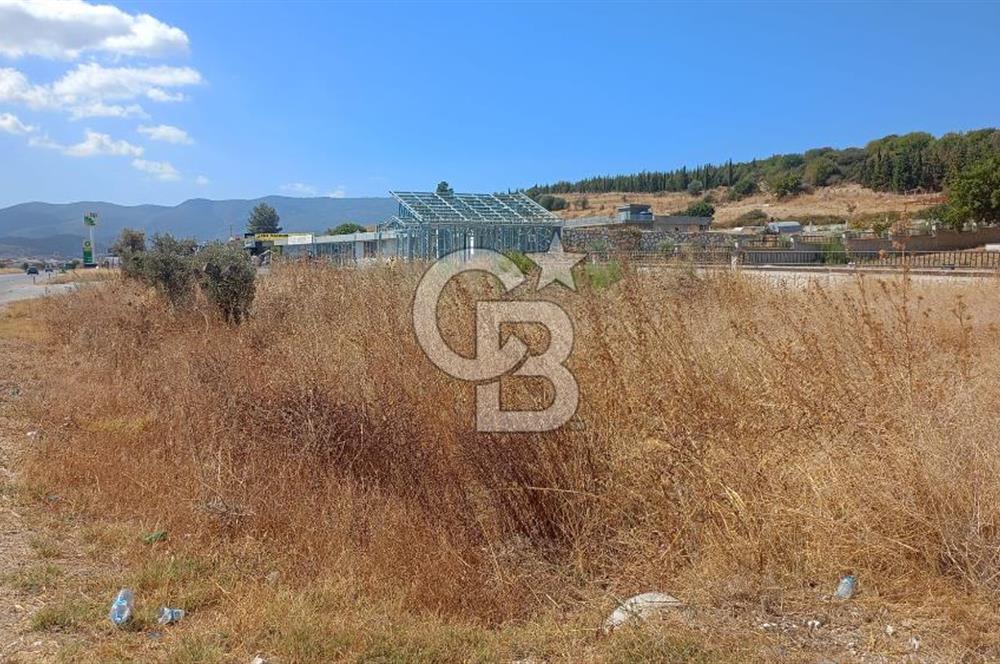KUŞADASI-MENDERES YOLUNDA DEĞERLİ TARLA