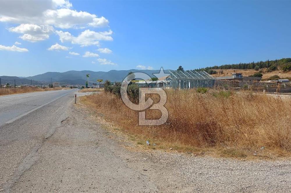 KUŞADASI-MENDERES YOLUNDA DEĞERLİ TARLA