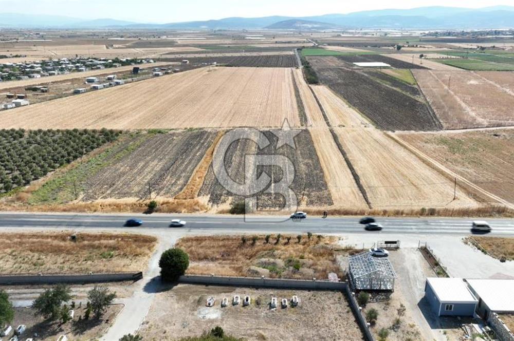 KUŞADASI-MENDERES YOLUNDA DEĞERLİ TARLA