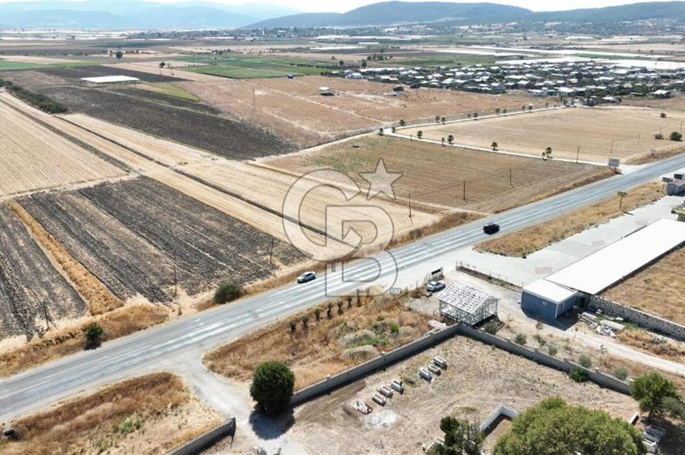KUŞADASI-MENDERES YOLUNDA DEĞERLİ TARLA