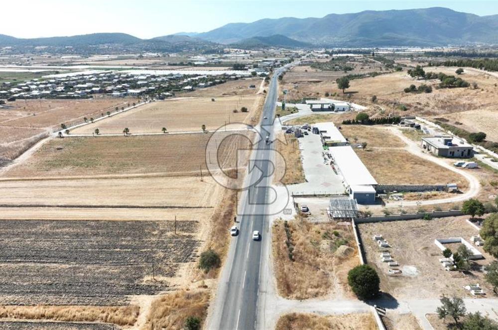 KUŞADASI-MENDERES YOLUNDA DEĞERLİ TARLA