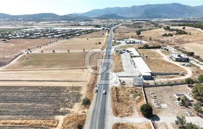 KUŞADASI-MENDERES YOLUNDA DEĞERLİ TARLA