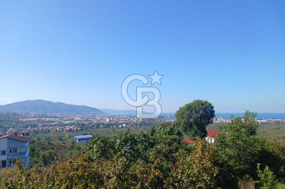 SATILIK FINDIK BAHÇESİ – ORDU / ALTINORDU / AKÇATEPE MAHALLESİ