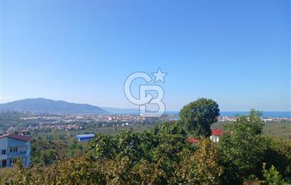 SATILIK FINDIK BAHÇESİ – ORDU / ALTINORDU / AKÇATEPE MAHALLESİ