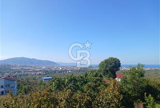 SATILIK FINDIK BAHÇESİ – ORDU / ALTINORDU / AKÇATEPE MAHALLESİ