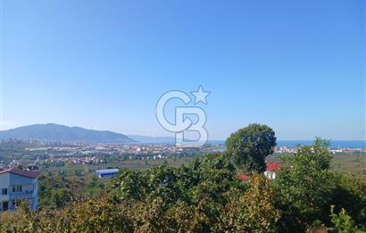 SATILIK FINDIK BAHÇESİ – ORDU / ALTINORDU / AKÇATEPE MAHALLESİ