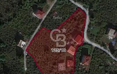 SATILIK FINDIK BAHÇESİ – ORDU / ALTINORDU / AKÇATEPE MAHALLESİ