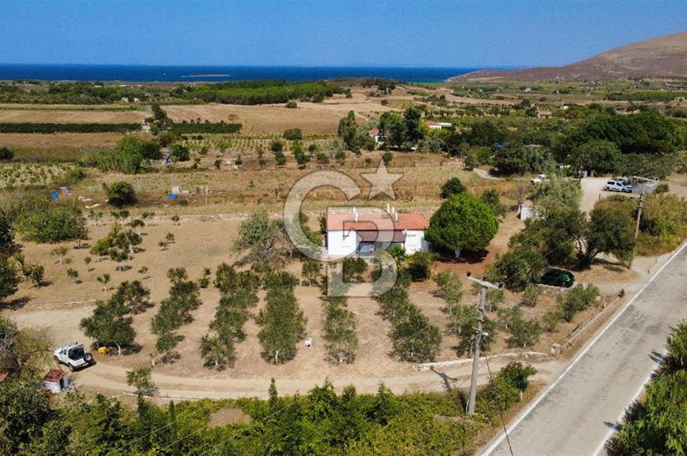 Adada Huzur ve Yatırım Bir Arada 3+1 Müstakil Ev, Geniş Arazi