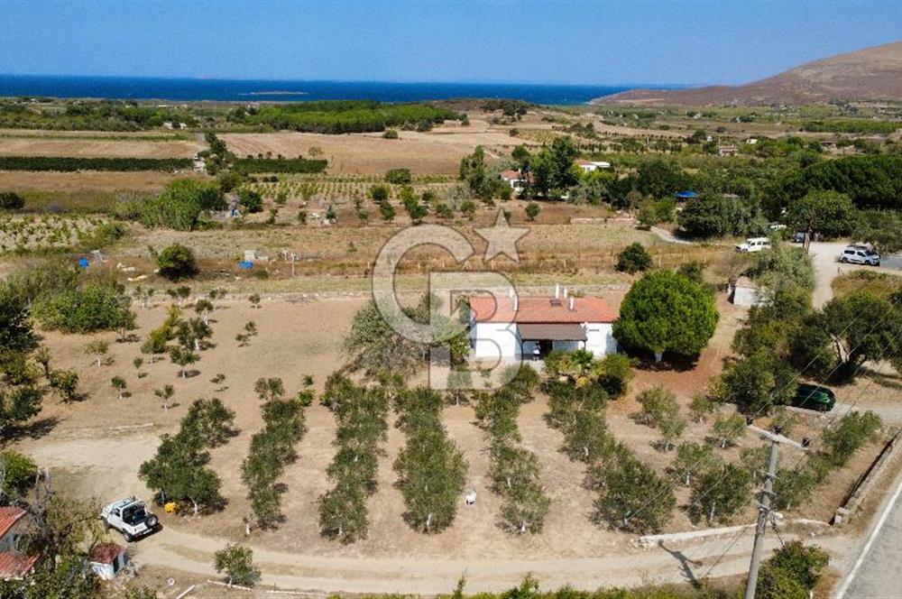 Adada Huzur ve Yatırım Bir Arada 3+1 Müstakil Ev, Geniş Arazi