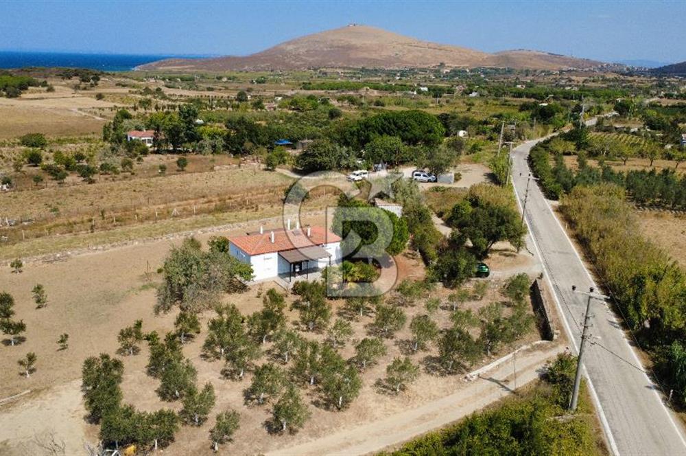Adada Huzur ve Yatırım Bir Arada 3+1 Müstakil Ev, Geniş Arazi