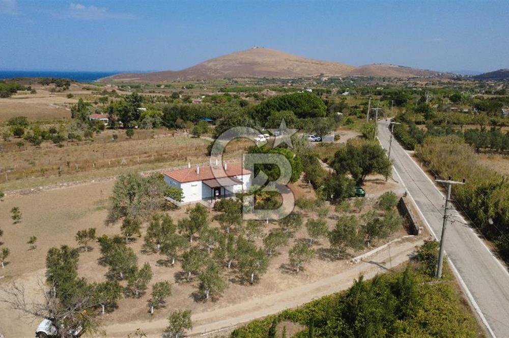Adada Huzur ve Yatırım Bir Arada 3+1 Müstakil Ev, Geniş Arazi