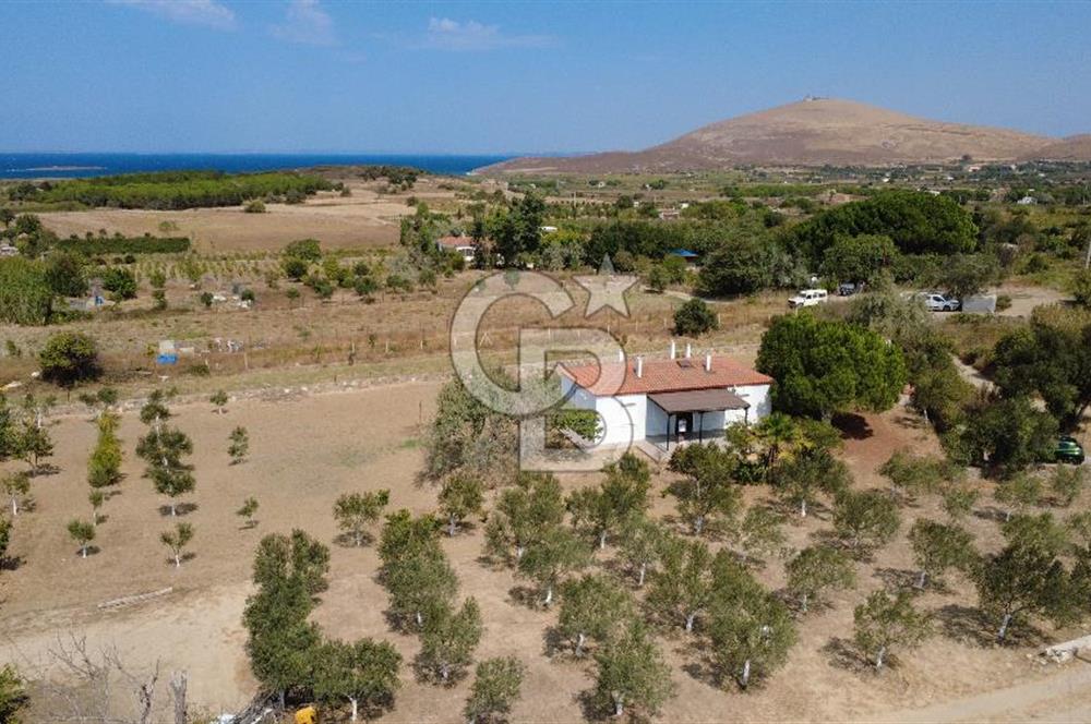 Adada Huzur ve Yatırım Bir Arada 3+1 Müstakil Ev, Geniş Arazi