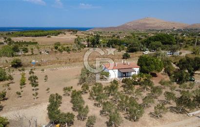 Adada Huzur ve Yatırım Bir Arada 3+1 Müstakil Ev, Geniş Arazi