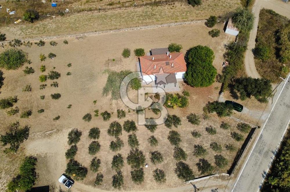 Adada Huzur ve Yatırım Bir Arada 3+1 Müstakil Ev, Geniş Arazi