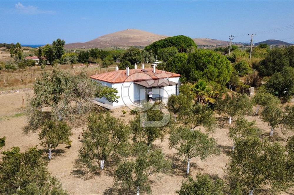 Adada Huzur ve Yatırım Bir Arada 3+1 Müstakil Ev, Geniş Arazi