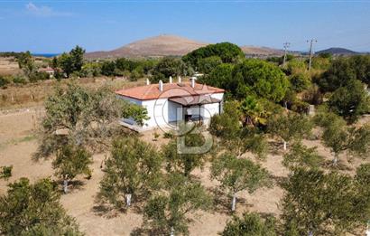Adada Huzur ve Yatırım Bir Arada 3+1 Müstakil Ev, Geniş Arazi