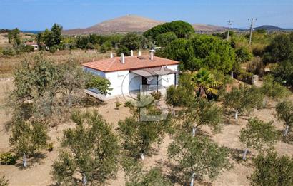 Adada Huzur ve Yatırım Bir Arada 3+1 Müstakil Ev, Geniş Arazi
