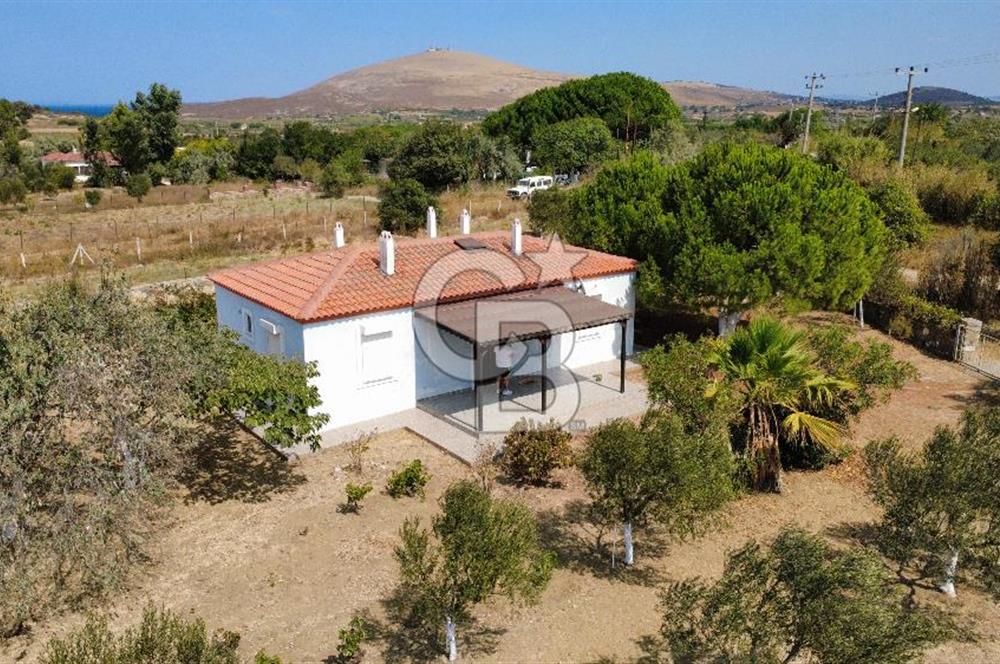 Adada Huzur ve Yatırım Bir Arada 3+1 Müstakil Ev, Geniş Arazi