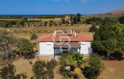 Adada Huzur ve Yatırım Bir Arada 3+1 Müstakil Ev, Geniş Arazi