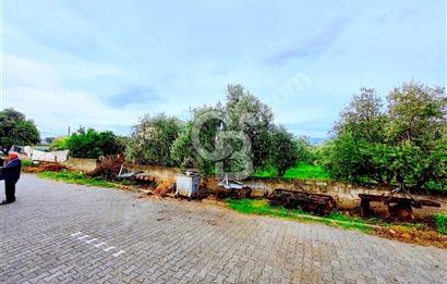 AYDIN SULTANHİSAR BEŞEYLÜL mah. 3 KAT İMARLI SATILIK ARSA