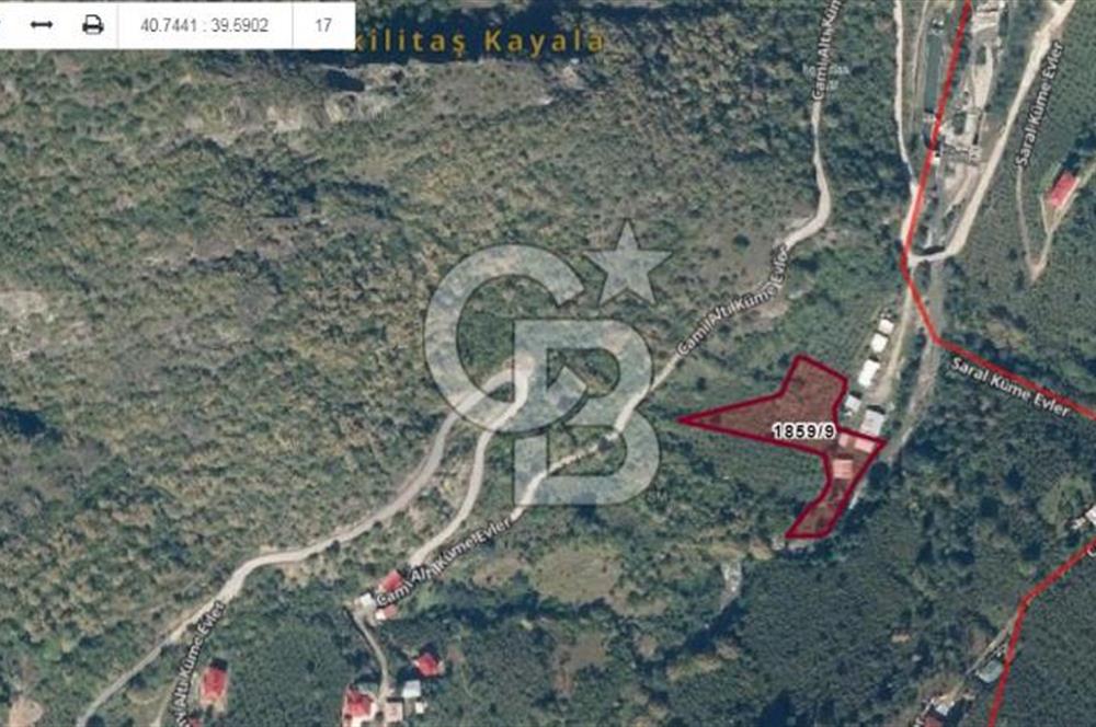 MAÇKA BAKIMLI'DA 3496 M2 DERE İÇİ SATILIK ARAZİ