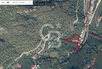 MAÇKA BAKIMLI'DA 3496 M2 DERE İÇİ SATILIK ARAZİ