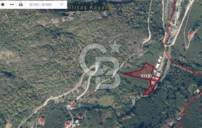 MAÇKA BAKIMLI'DA 3496 M2 DERE İÇİ SATILIK ARAZİ