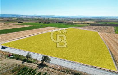 Çanakkale Kumkale’de 17.428 m² Satılık Tarım Arazisi