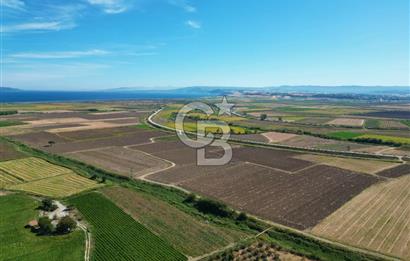 Çanakkale Kumkale’de 17.428 m² Satılık Tarım Arazisi