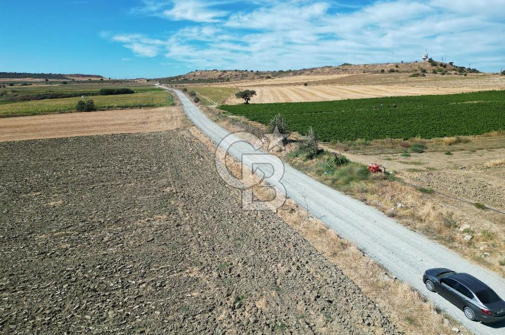 Çanakkale Kumkale’de 17.428 m² Satılık Tarım Arazisi