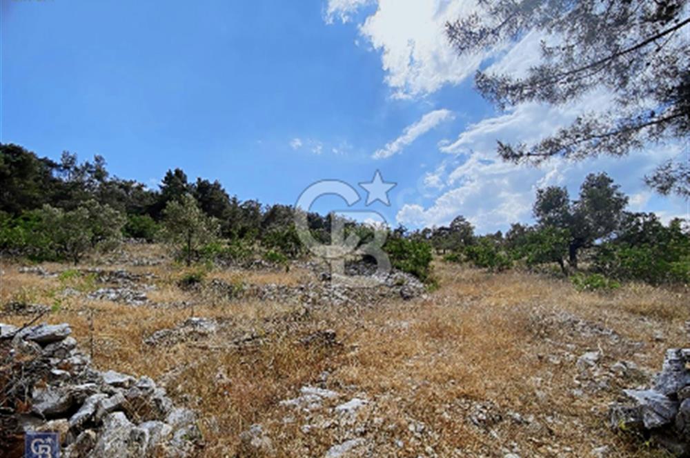Muğla Çiftlik Köyü’nde 9882 metrekare tarla