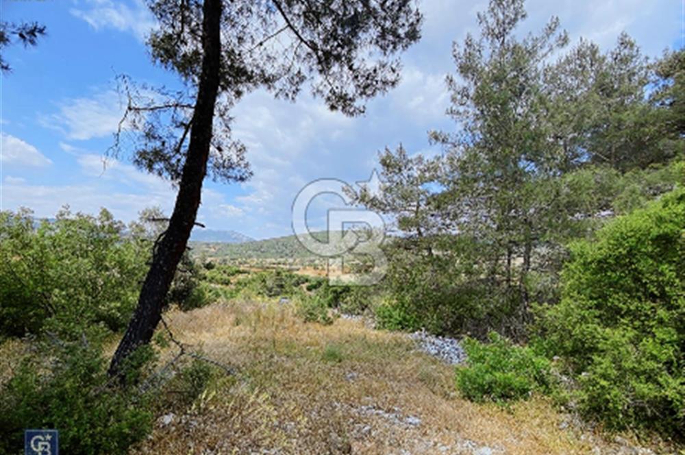 Muğla Çiftlik Köyü’nde 9882 metrekare tarla