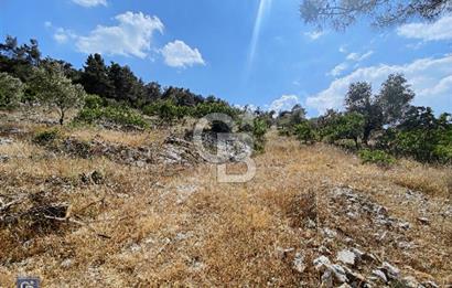 Muğla Çiftlik Köyü’nde 9882 metrekare tarla