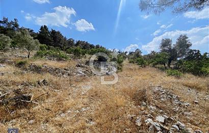 Muğla Çiftlik Köyü’nde 9882 metrekare tarla