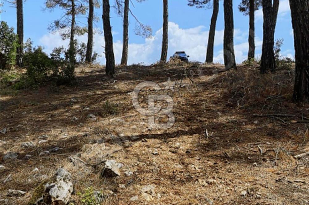 Muğla Çiftlikköy’de 5626 metrekare tarla