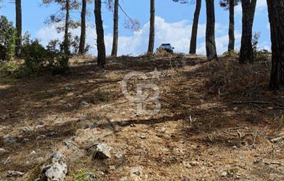 Muğla Çiftlikköy’de 5626 metrekare tarla