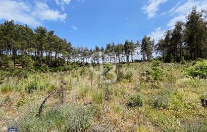 Muğla Çiftlikköy’de 5626 metrekare tarla