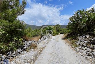 Muğla menteşe Çiftlikköy’de 3000 metrekare satılık fıstık tarlası