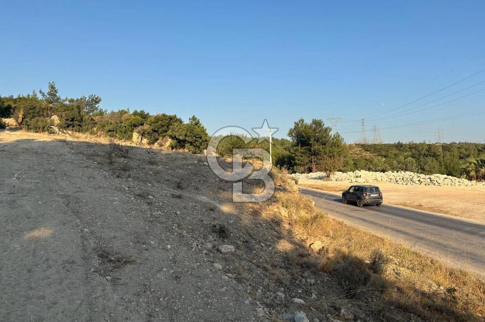 Urla Bademler Yoluna Cepheli Satılık Arazi