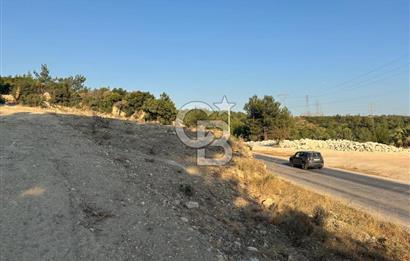 Urla Bademler Yoluna Cepheli Satılık Arazi