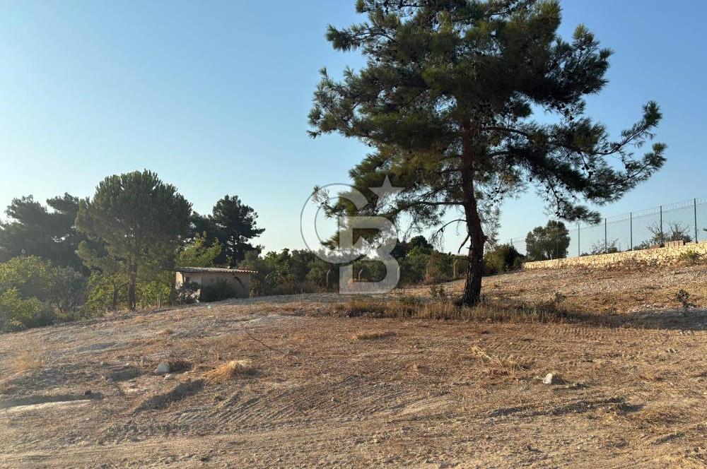 Kadastral Yol Cepheli Köşe Parsel Satılık Tarla