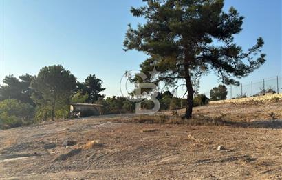 Kadastral Yol Cepheli Köşe Parsel Satılık Tarla