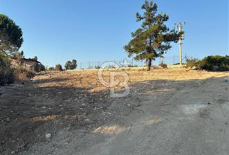 Kadastral Yol Cepheli Köşe Parsel Satılık Tarla