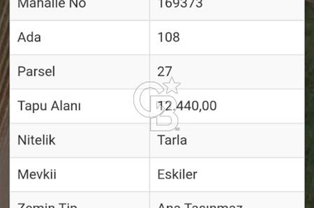 FOÇA GERENKÖYDE SATILIK TARLA